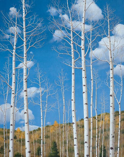Aspen and Sky