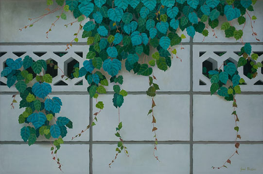 Draping Ivy