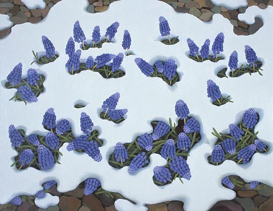 Hyacinth in Snow