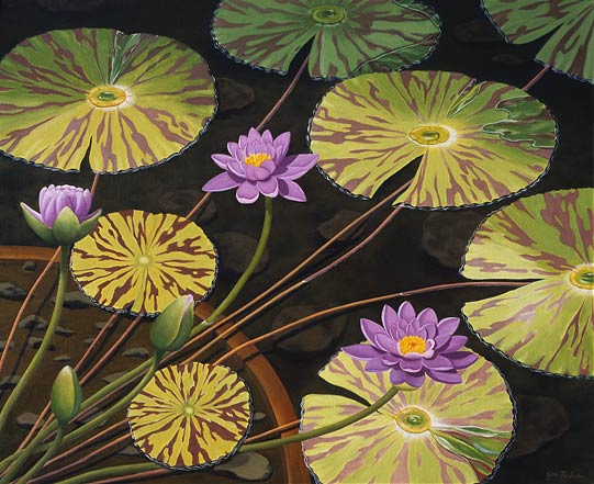 Lily Pads in Planter