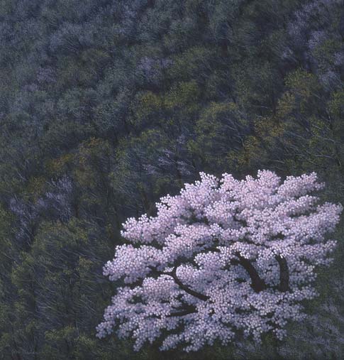 Mountain Cherry