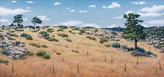 Mountain Meadow